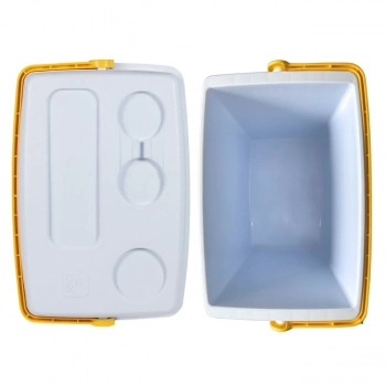 Kit para Praia Amarelo Cooler Caixa Trmica 36l + Esteira com Ala