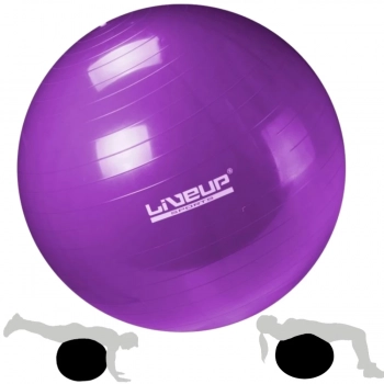 Kit Treino Bola Sua 55 Cm + Colchonete Eva Pilates / Yoga + Roda Abdominal Rosa + Mini Bomba