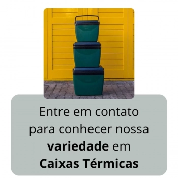 Kit Esteira de Praia em Rolo com Ala Listrada + Caixa Termica 18 Litros Verde e Preta