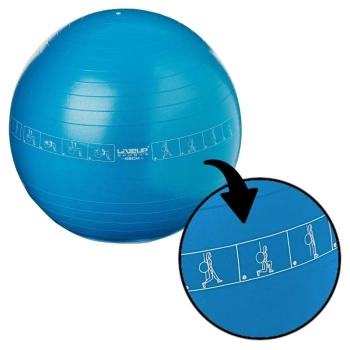 https://www.mercadodiversao.com.br/dados_empresa/imagens/produtos/0350/3812_06_bola-pilates-suica-65-cm-exercicios-academia-yoga-azul.webp